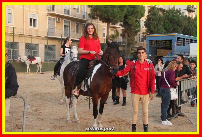 161106 equestre 129_tn.jpg